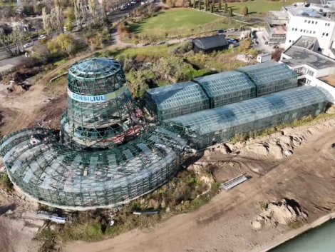 1123abackground sera (1)